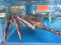 -清水湾3号(东方小周海鲜店)