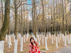 -艾溪湖湿地公园