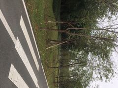-明蜀王陵(地铁站)