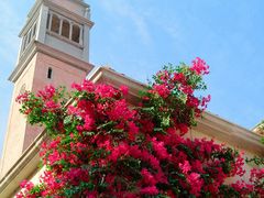 -华谊兄弟（长沙）电影小镇