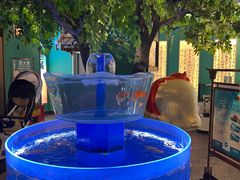 -佬麻雀·剁椒鱼头(京基KK One店)