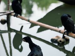 -长兴太湖图影湿地文化园
