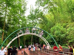景区门口-川西竹海景区