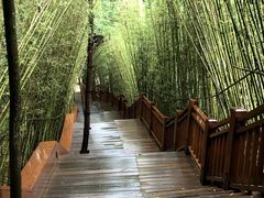 -天河潭旅游度假区