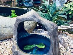 -双季花艺园艺市场(浦东店)
