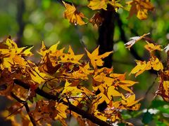 -玉渡山自然风景区