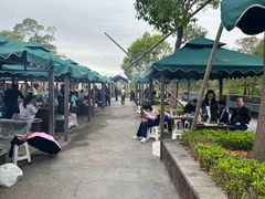 -春花秋色城市公园