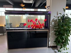 -上海和展广汽丰田4S店(老闵行店)