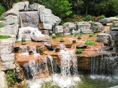 -深圳仙湖植物园