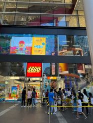 -乐高品牌旗舰店(人民广场店)