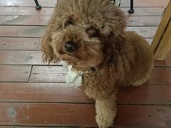 -半坡九号老挝冰咖啡