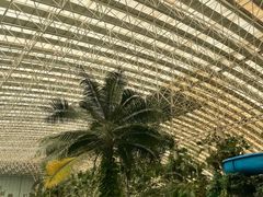 -龙脉温泉室内游泳馆