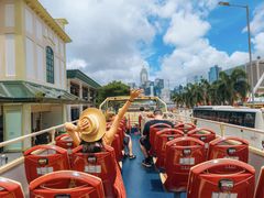 -Big Bus Tours 敞篷观光巴士