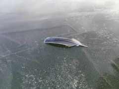-怀来官厅水库