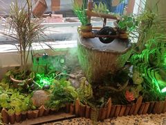 -顺丰轩园林酒家(天河店)