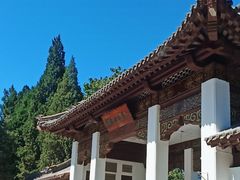 -团结湖公园