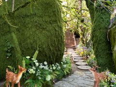 -沂蒙云瀑洞天景区