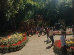 -富乐山