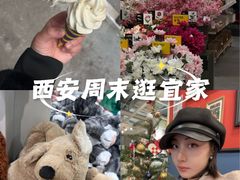 -宜家家居(西安未央商场店)
