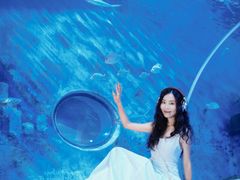 -多彩贵州城极地海洋世界