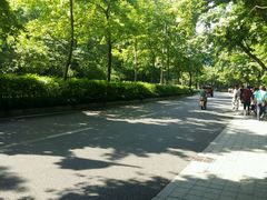 -古韵餐厅(湖畔大学店)