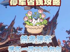 -厦门高崎国际机场T4航站楼-停车场