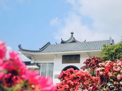 -梧桐山风景名胜区