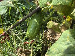 -松浦·观江国际