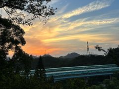 -深圳仙湖植物园
