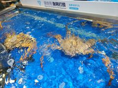 -盒马鲜生(莱蒙都会店)