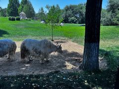 -北京野生动物园