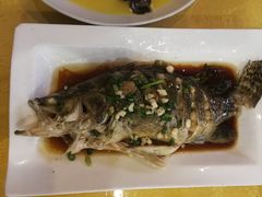 -溱湖八鲜菜馆