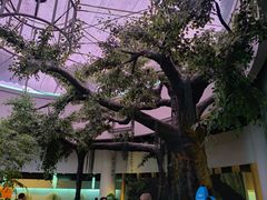 -陕西自然博物馆