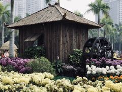 -南宁南湖公园