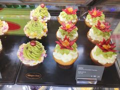 -哈根达斯(西安高新店)