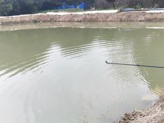 -胜丰草莓采摘园