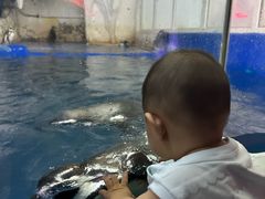 -太平洋海底世界