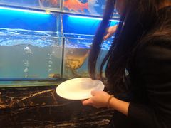 -芭菲盛宴·环球美食(北城国际店)