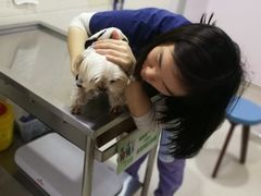 -哆趣宠物医院·眼科·内镜·急重症转诊中心(上海店)