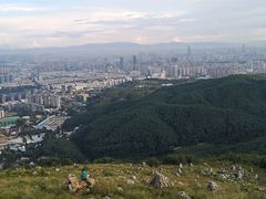 -长虫山生态公园风景林
