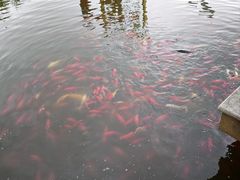 -月牙潭公园