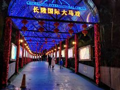 -广州长隆国际大马戏