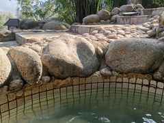 -三江森林温泉度假区