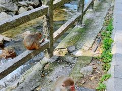 -姑婆山旅游区