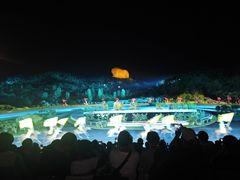 -鼎盛王朝康熙大典实景演出