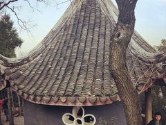 -香雪海