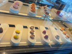 -Social 秀西餐厅-长沙瑞吉酒店(运达店)