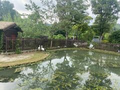 -上方山森林动物世界