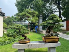 -上海醉白池公园