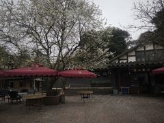 -保利石象湖景区
